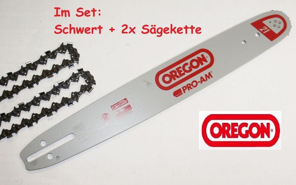 OREGON Schwert 38 cm & 2x Kette 21BPX064E - DOLMAR etc